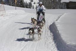 Kandersteg 2013